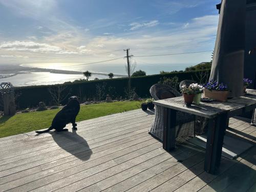 Mount Pleasant Bed & Breakfast | 340 Degrees Alps & Sea Eco Living