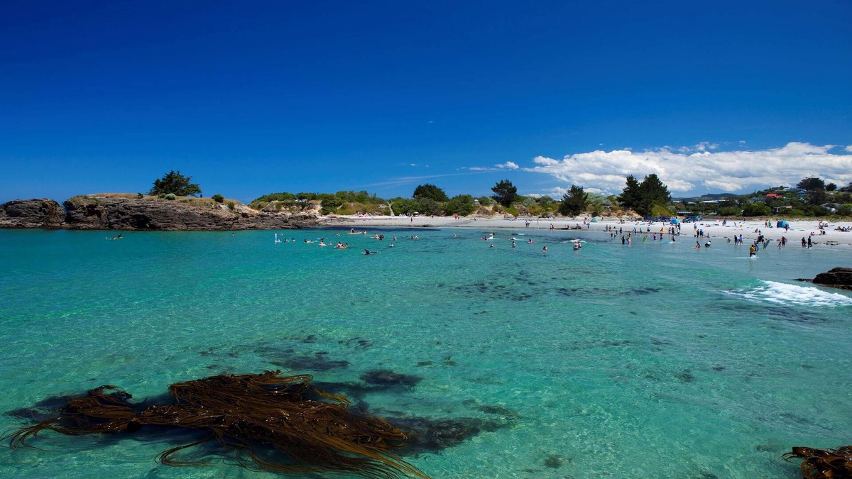 Saint Kilda Hotel | 555 Motel Dunedin