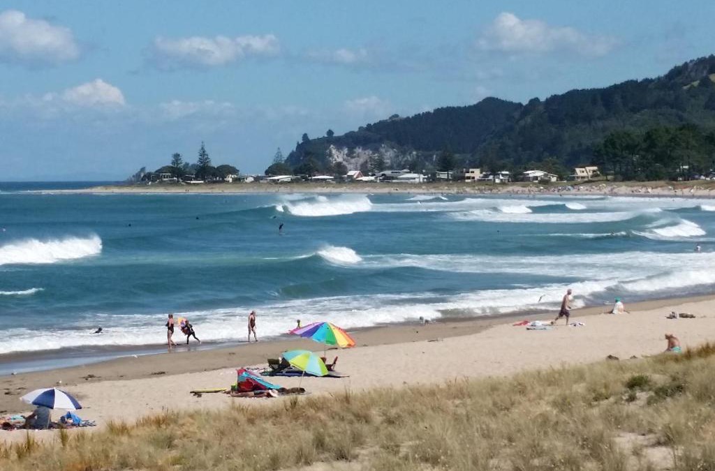 Whangamata Cabin | Amazing Kiwi Lodge
