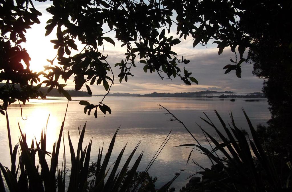 Kerikeri House | Aroha Island