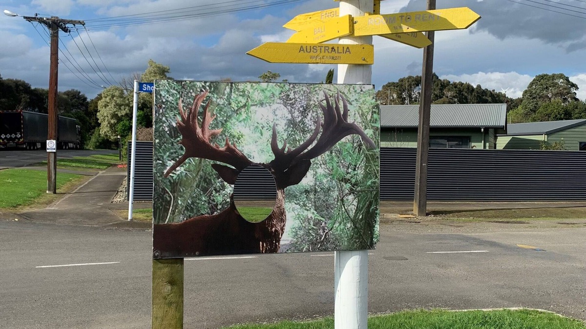 Ashhurst Hotel | Ashhurst Deer N Duck Inn