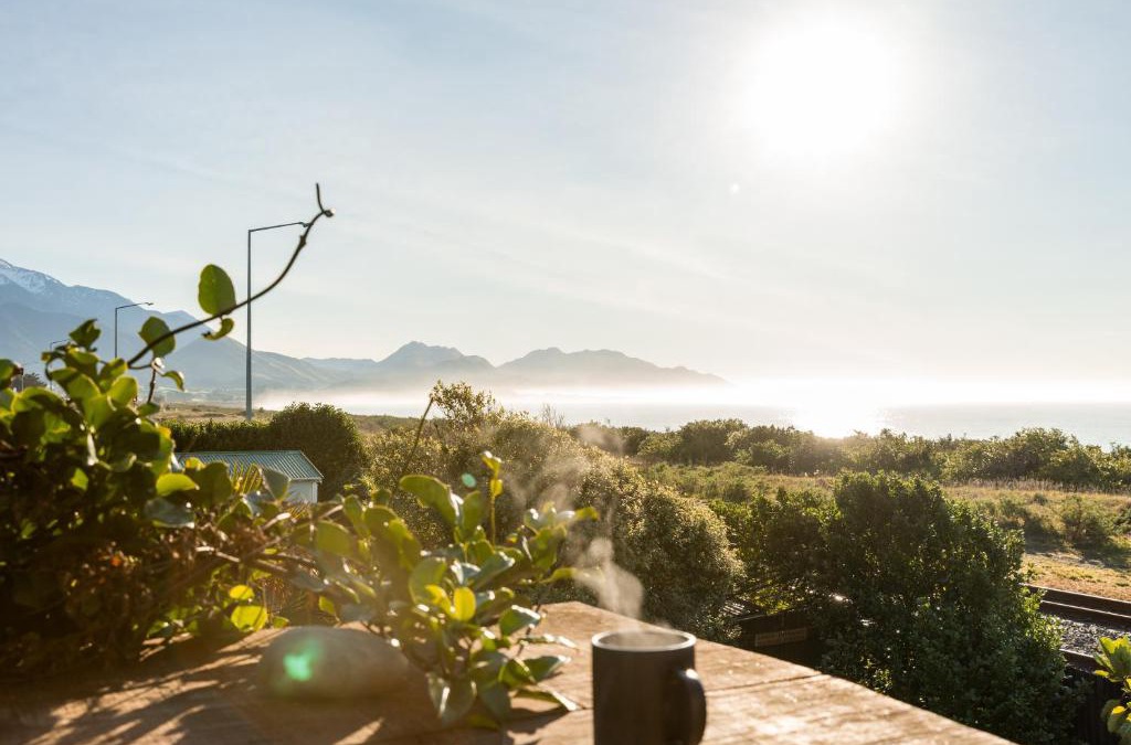 Kaikoura House | Beach Front Bach, Games Room, Handy Location - KK58106