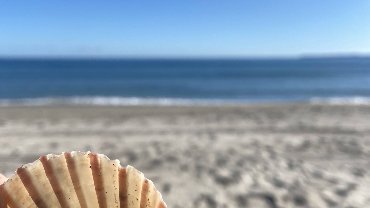 Papamoa Beach House | Beach rental. Peace and Tranquility