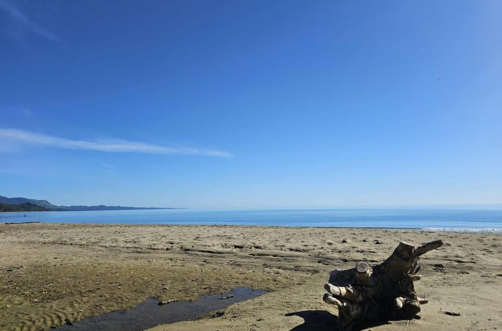 Parapara House | Beachfront Beauty