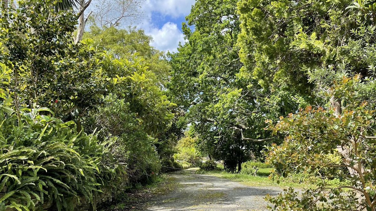 Whananaki House | Beautiful views of the Whananaki estuary, from your cosy flat.