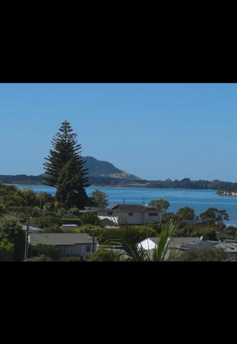 Omokoroa House | Bulavista