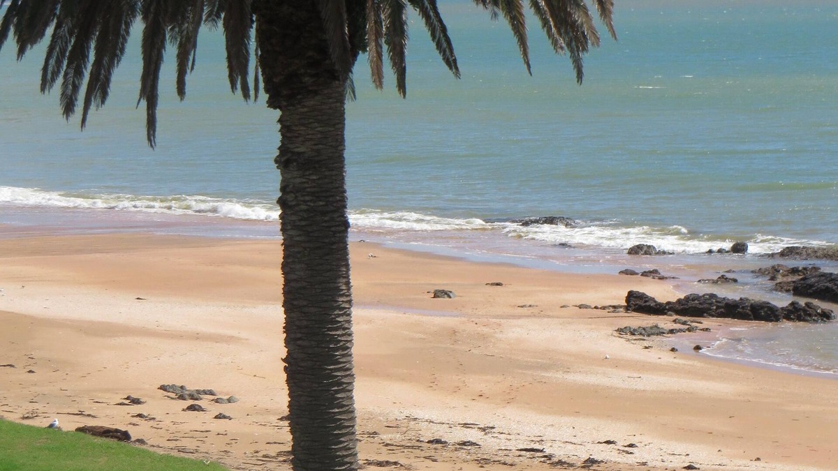 Cable Bay Apartment | Cable Bay Stays – Golden Sand and Driftwood Beachfront Accommodation