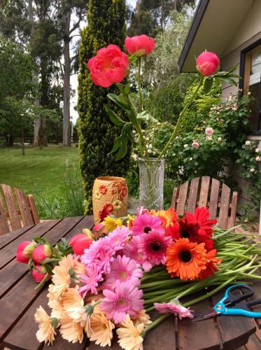 Rolleston House | Charming Country Paradise