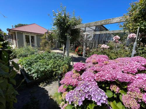 Christchurch City Centre House | Classical & new CNZhouse with space