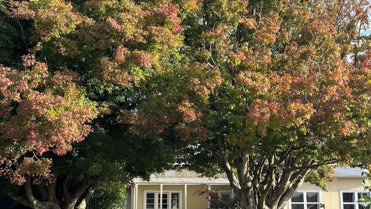 Ohingaiti Other | Cliff Top Homestead - great for couples, friends, families and large groups