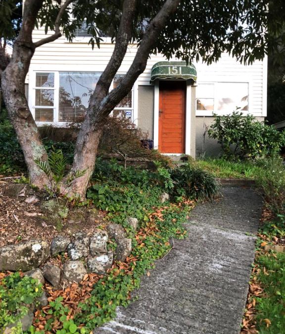 Wellington Apartment | Close To Nature & City