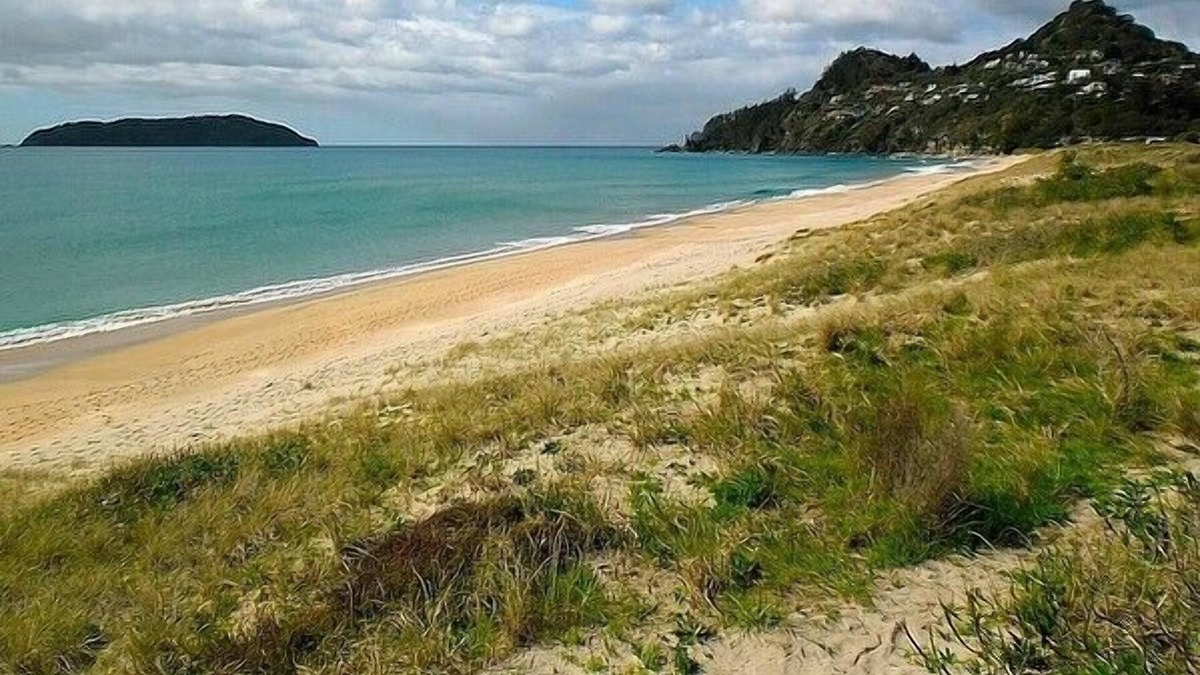 Tairua Cottage | COSY AND CHIC ON OCEAN BEACH - TAIRUA HOLIDAY HOME in Tairua