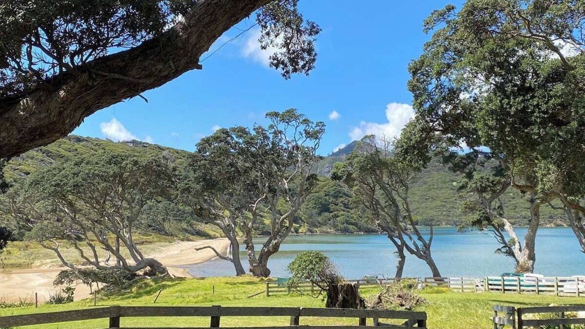 Great Barrier Island House | Cosy beach house meters from Okupu Bay