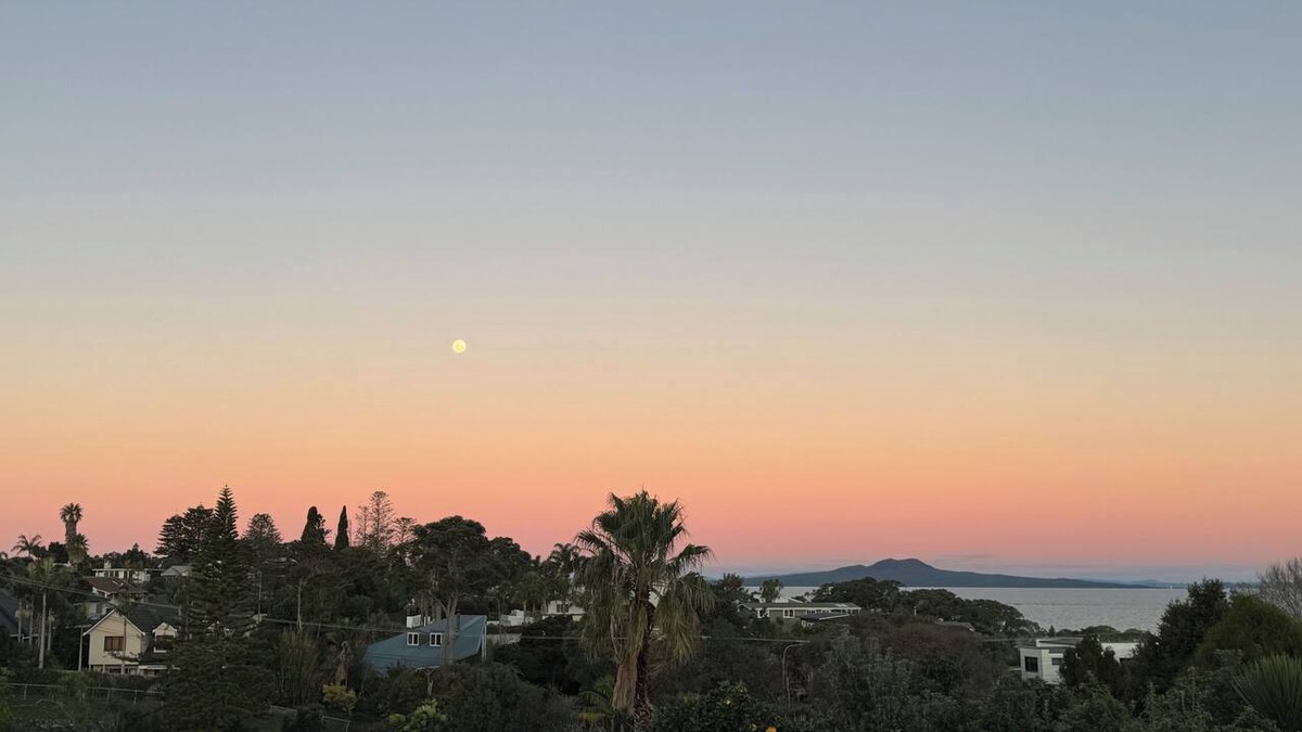 Torbay House | Cosy beach retreat on Torbay. Enjoy a spacious room with entire house and garden