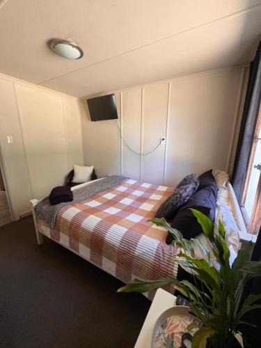 Otorohanga Bed & Breakfast | Cosy rural getaway