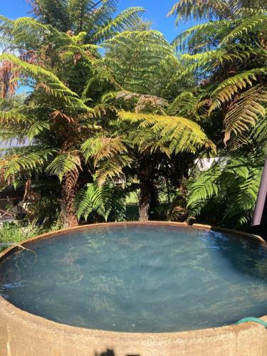 Tokaanu House | Cottage and geothermal pool by lake Taupo