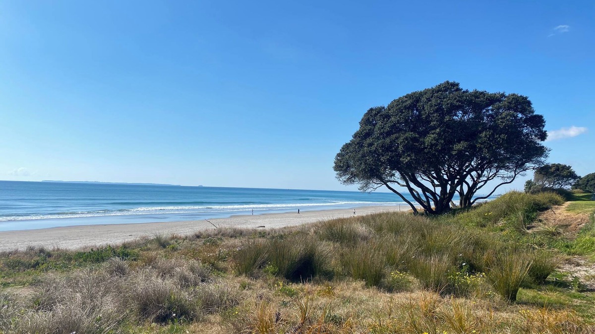 Omanu House | Cute and original easy care beach house.