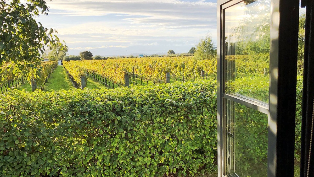 Martinborough House | Dara Vineyard Cottage Martinborough