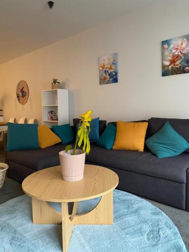 Wellington Apartment | Do not book this property