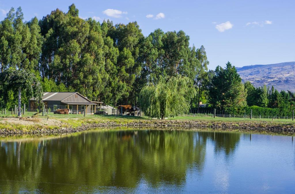 Alexandra Bed & Breakfast | Dunstan Road B&B