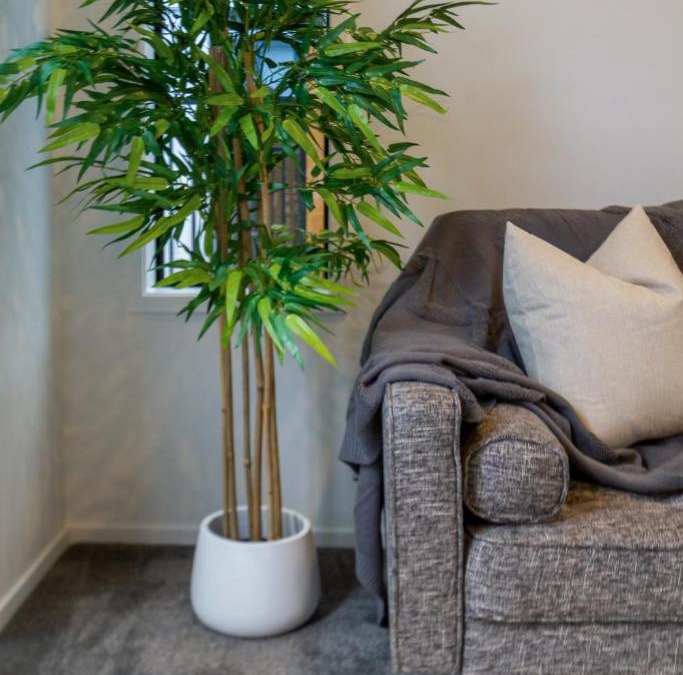 Addington Apartment | Explore Addington and CBD 1 bed w/carpark