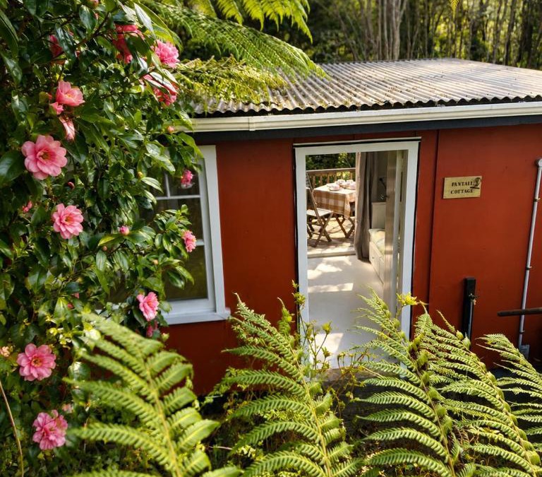 Raglan House | Fantail Valley