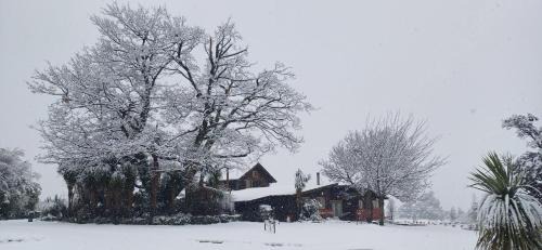 Springfield Ski Chalet | Fantails Rest - Torokiki