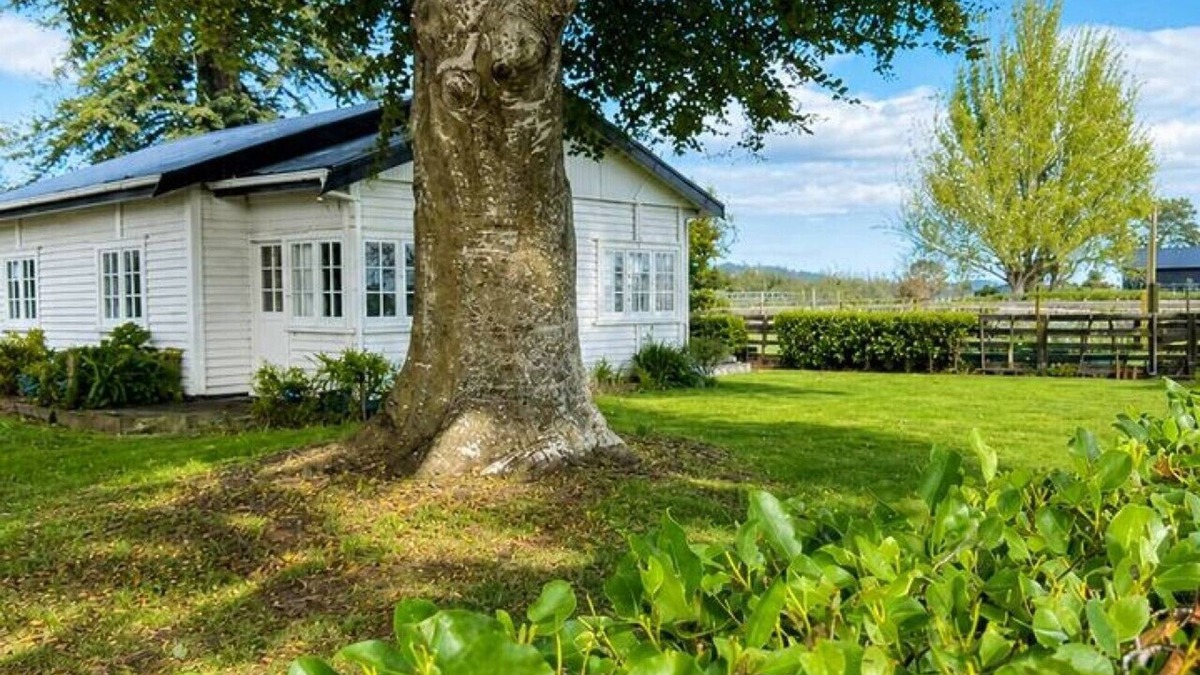 Tamahere House | Farm Stay | Near Airport & Mystery Creek