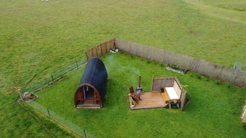 Tapawera House | Farm Therapy- Farm Stay & Digital Detox Retreat