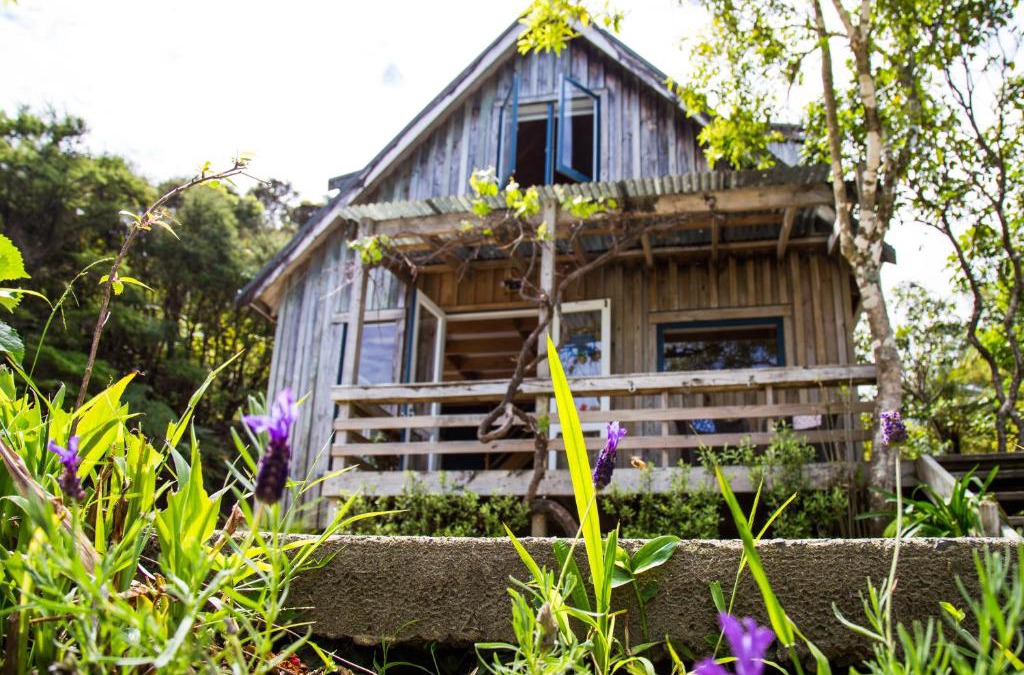Coromandel Apartment | Fern Lodge Coromandel