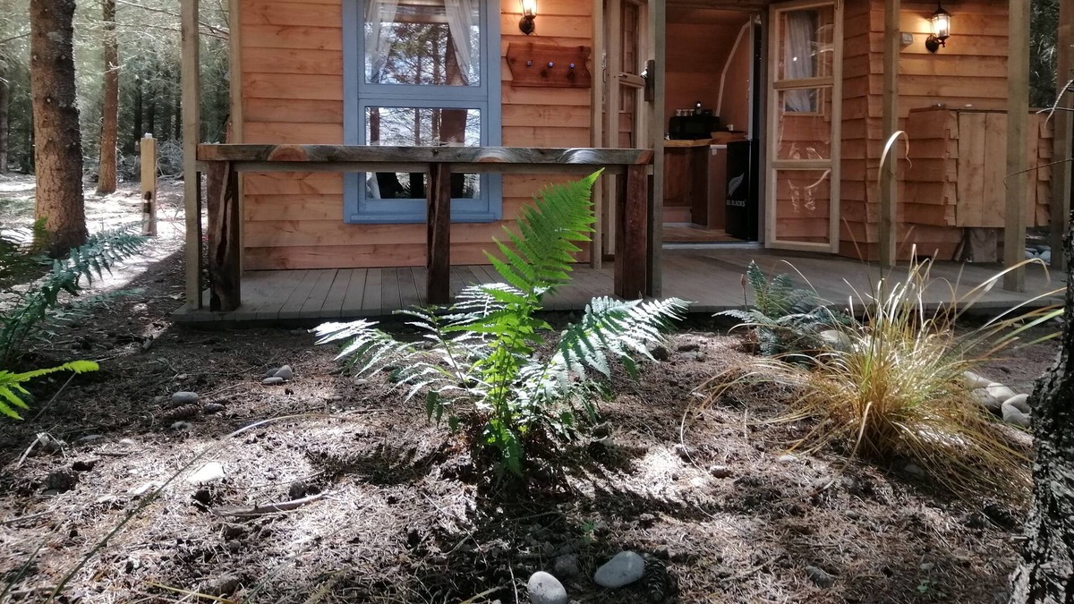 Ashwick Flat Apartment | Forest cabin nature's Best offering, a hidden gem of a little cabin