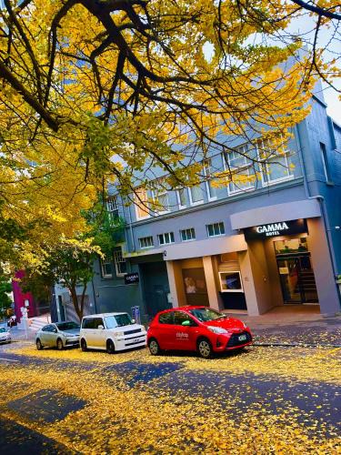 Auckland Central Business District Hotel | Gamma Hotel