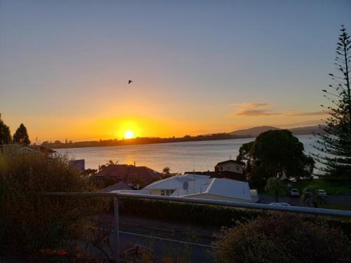 Tauranga South Hostel | Garden Court Motel
