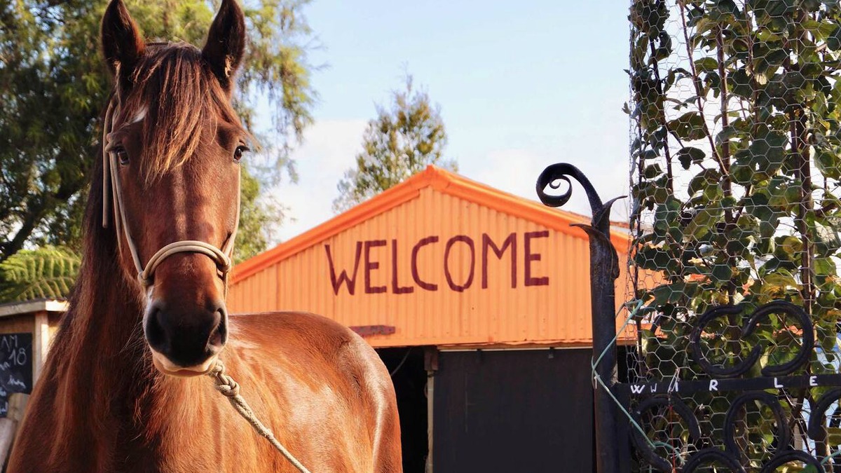 Patons Rock Villa | Hack'n'Stay Adventure Farm - Paton's Rock