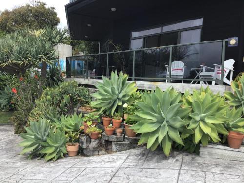 Mangawhai Heads Apartment | Heads Up