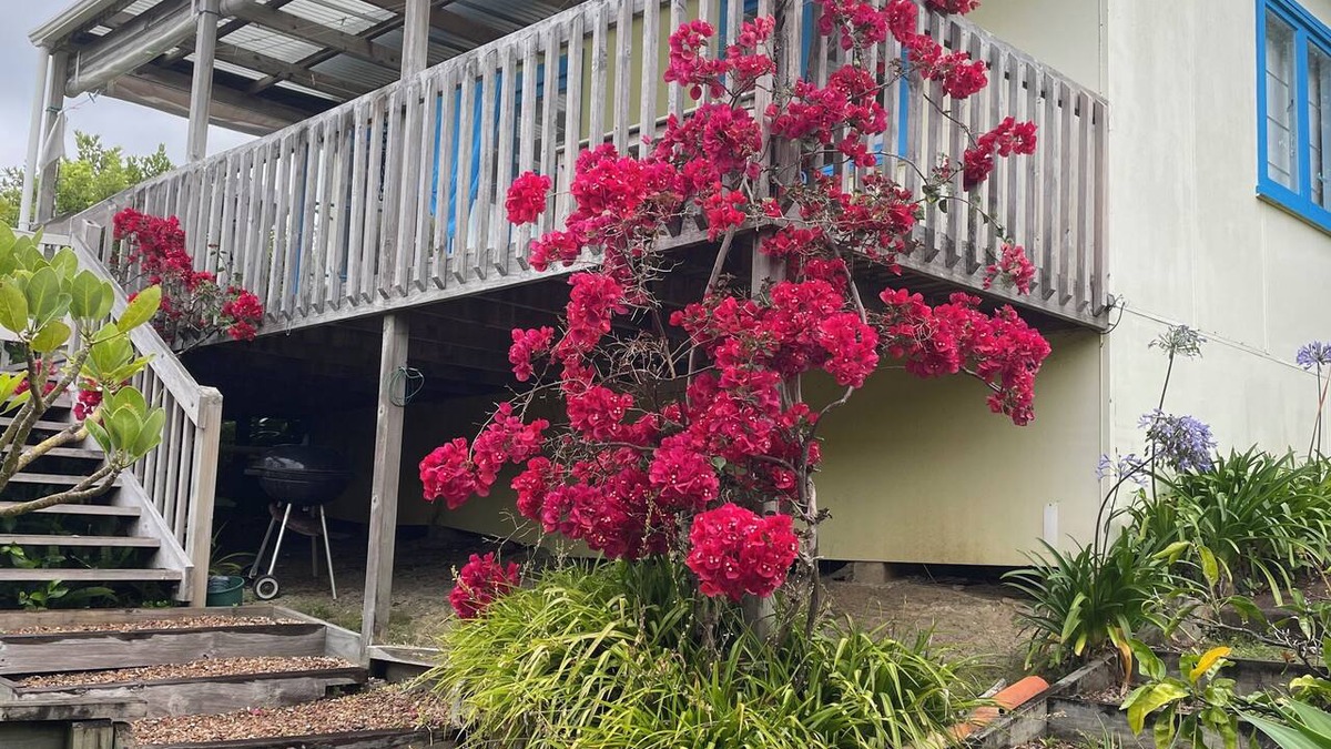 Waiheke Island Cottage | Iconic comfortable idyllic bach/cottage, in secluded Enclosure Bay ,