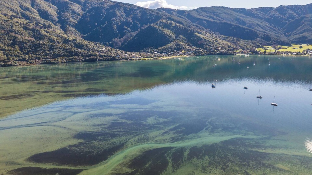 Linkwater House | Koraha - Queen Charlotte Sound Holiday Home