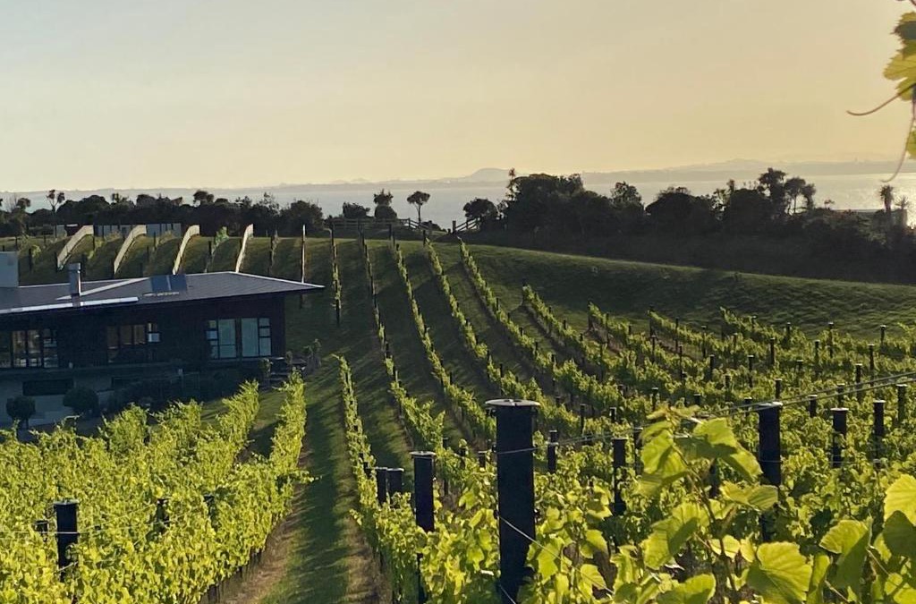 Waiheke Island House | La Bodega Waiheke Island
