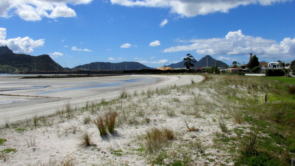 One Tree Point Cottage | Manaia View Bach - One Tree Point Bach