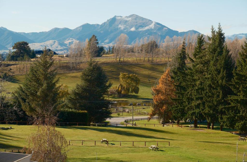 Wanaka Cabin | Maru Cabins at Sundale Holiday Park