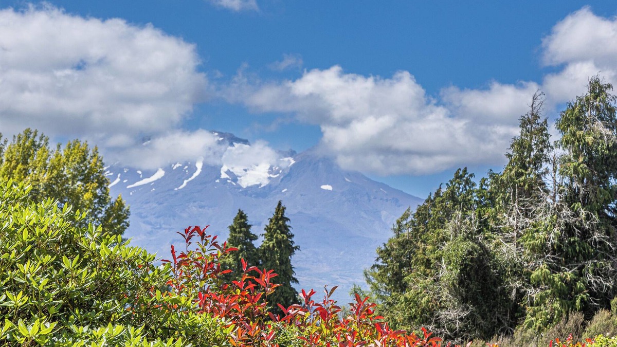 Rangataua House | Maungatapu Studio 2 - Ohakune Holiday Home