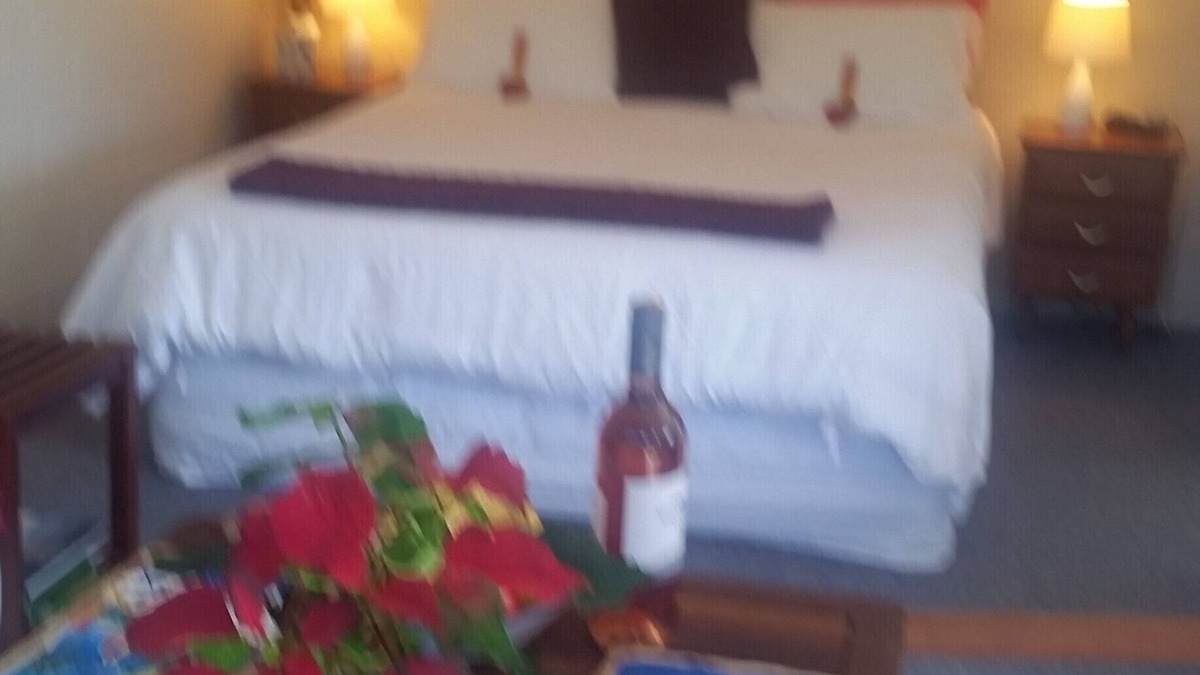 Ohope Bed & Breakfast | Moanarua Beach Cottage