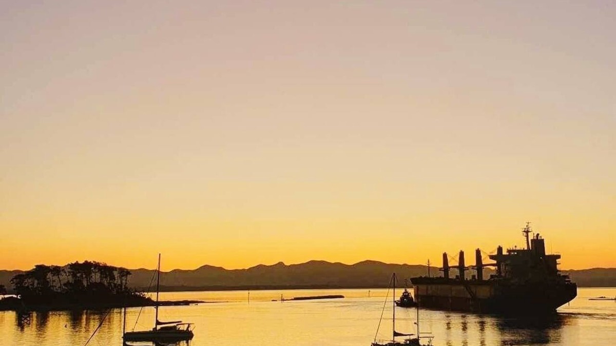 Stepneyville Apartment | Nelson Waterfront: Harbour Views, Balcony & 2BR