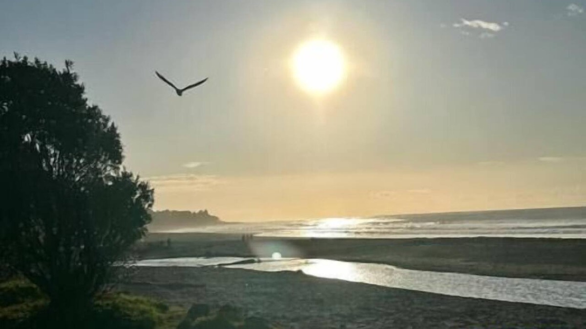 Oakura House | Oakura Beach Family Bach + Close to Everything!