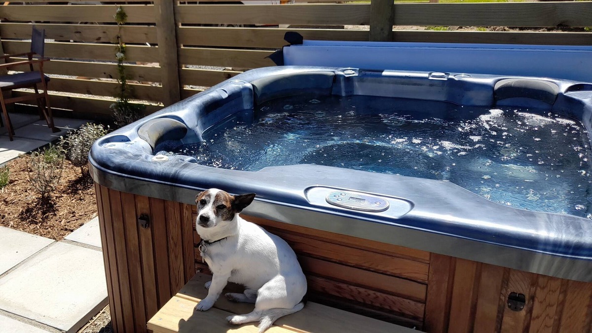 Fernside House | Oh so peaceful! Stunning rural view, hot spa pool,small dogs welcome.