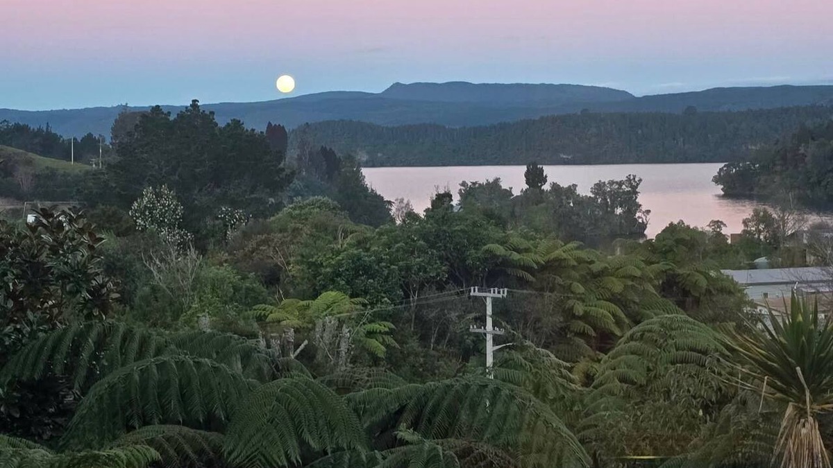 Okere Falls House | ŌKERE Ridge - Stone, native timber and tree ferns overlooking Lake Rotoiti
