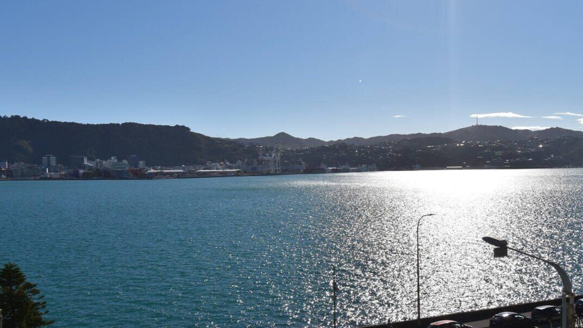 Oriental Bay Apartment | Oriental Bay Waterfront with 180 Views