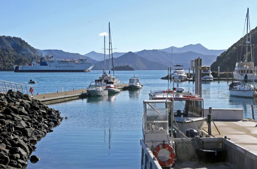 Picton Apartment | Oxley's Superior Apartment