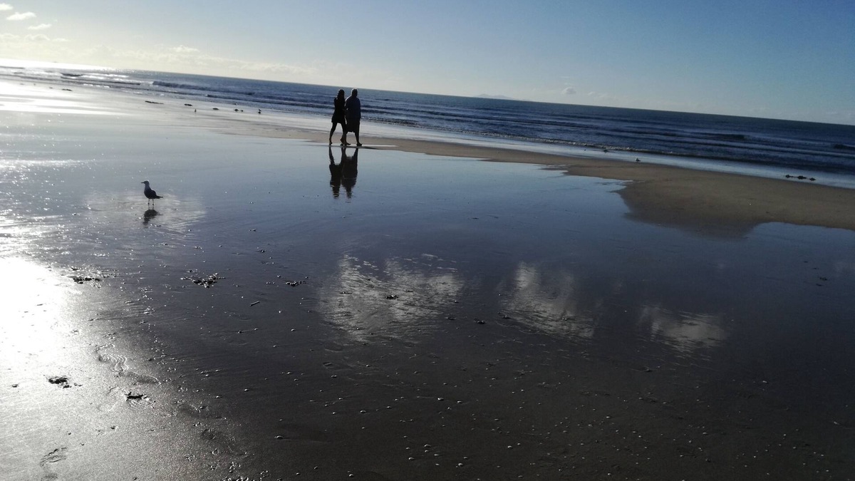 Mount Maunganui Hotel | Pacific Motor Inn
