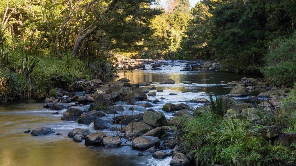 Kerikeri Cabin | Perfect for a big group and family ! PUKETOTARA LODGE KERIKERI!
